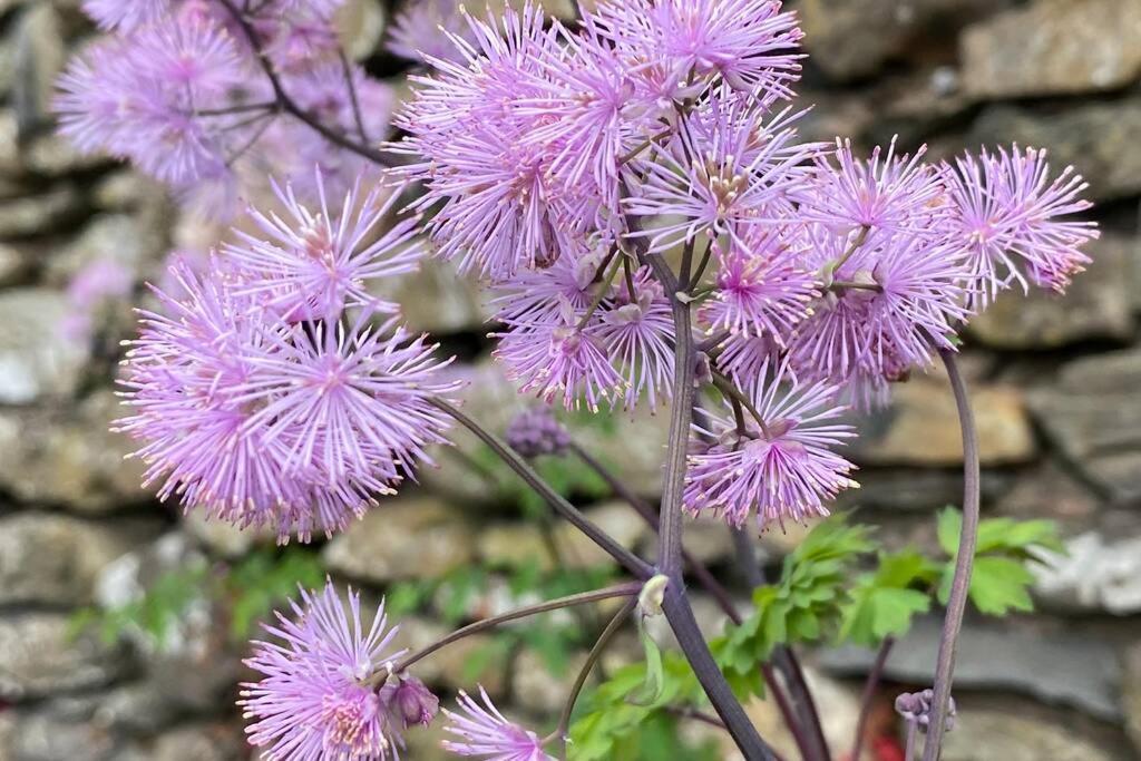 Lake District Romantic Get Away In 1 Acre Gardens Off M6 เพนริท ภายนอก รูปภาพ